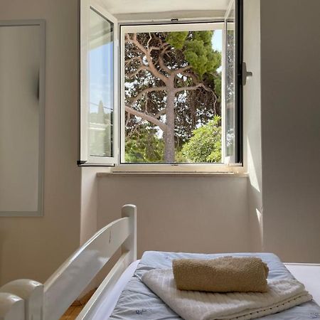 Tree Apartamento Dubrovnik Exterior foto